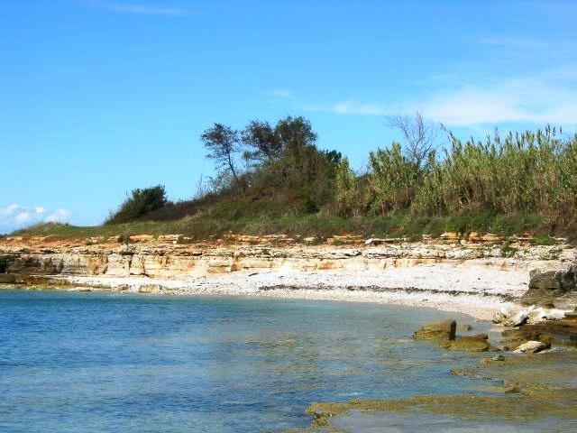 Janja Apartment Novigrad  ห้อง รูปภาพ